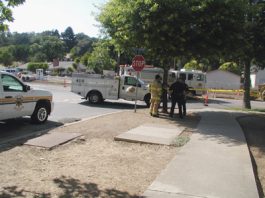 Eagle Scout adds on to Sobrato Farm