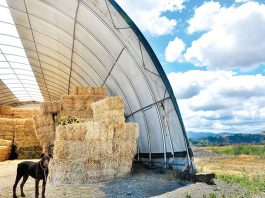 Ring in the New Year