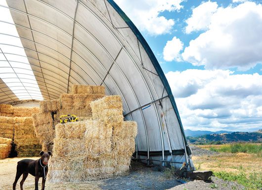 Ring in the New Year