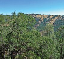 Guest view: Local clergy respond to Orlando violence