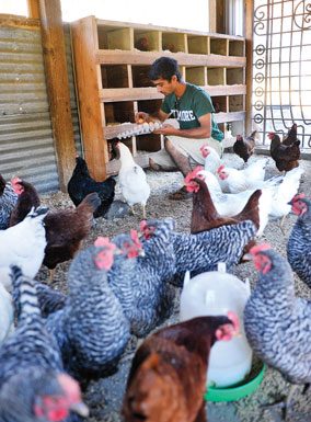 Accelerated upgrades in store for Paradise Valley campus