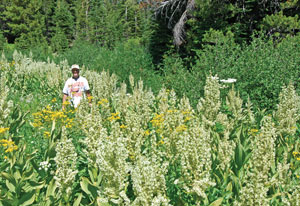 GETTING OUT: This time of year, Tahoe Basin is ‘fit for a photo calendar’