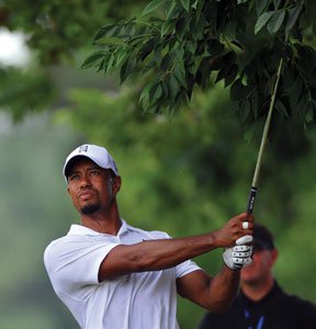 GOLF: Frys.com Open media day all about ‘Tiger Effect’; Chappell sees tournament becoming ‘fall major’