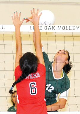 GIRLS VOLLEYBALL: Acorns stumble through loss to Castilleja; SHS beats Evergreen Valley in home opener