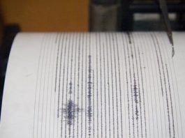 Small earthquake shakes South County