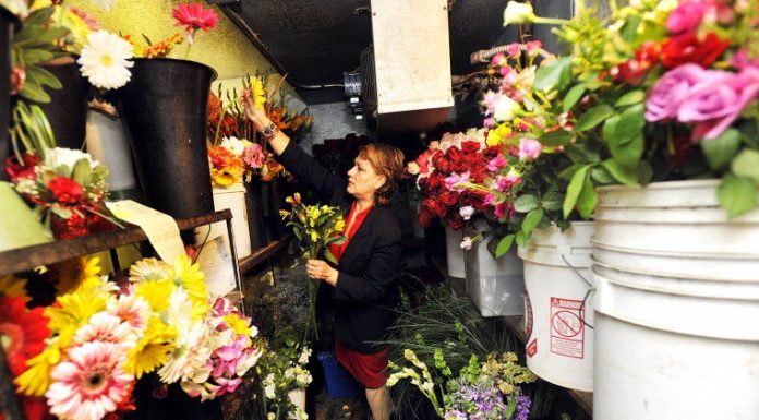 Morgan Hill Florists