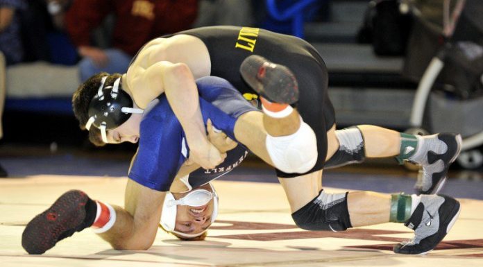 Locsin dominates for second straight section title