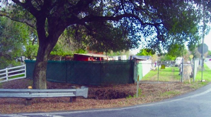 Is home following rules with animals?