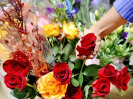 Celebrating love and happiness