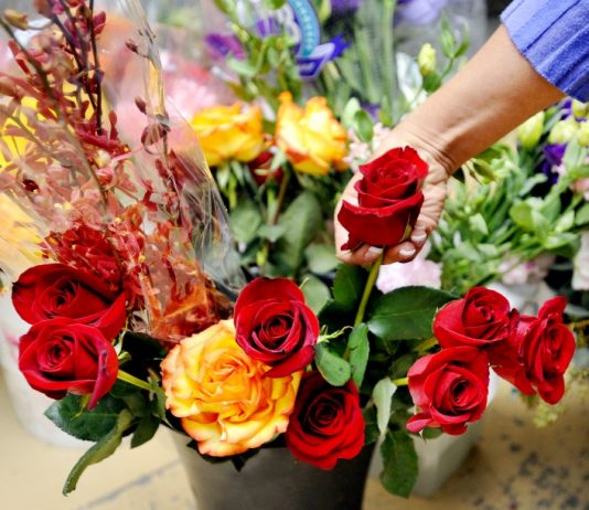 Celebrating love and happiness