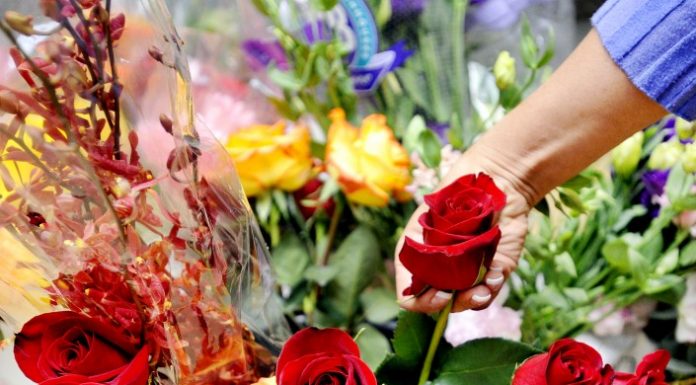 Celebrating love and happiness