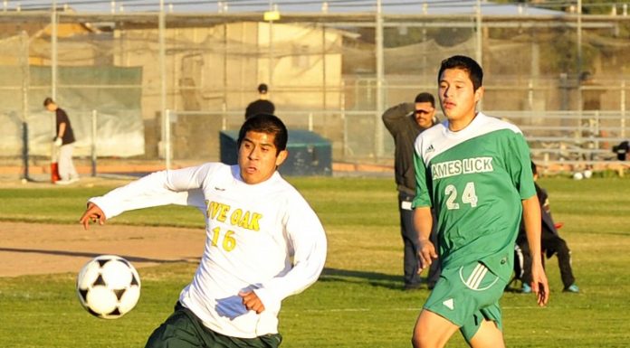 Henner, Diaz named to first team