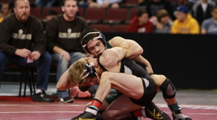 Locsin heading back to state finals