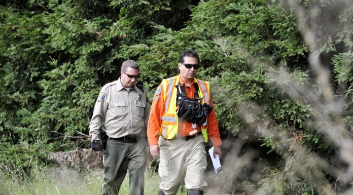 Searching for Sierra