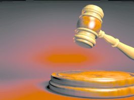 Former SJ resident sentenced to 30 months for tax evasion