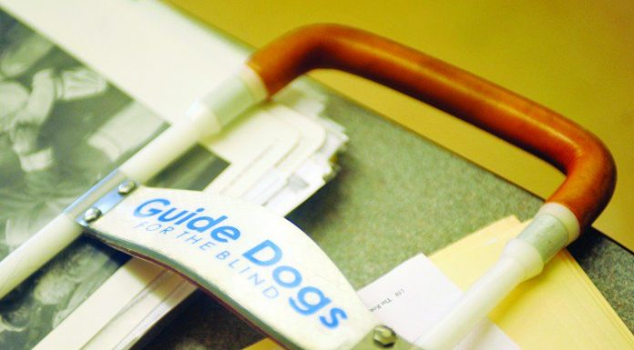 Teaching with the senses