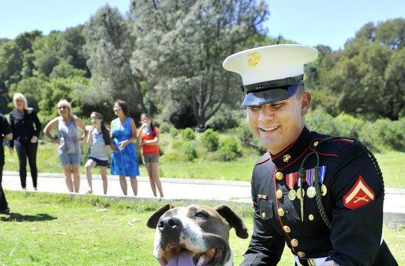 Dogs on Deployment reunion