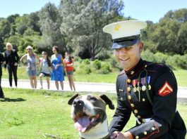 Semper Fi: man’s best friend