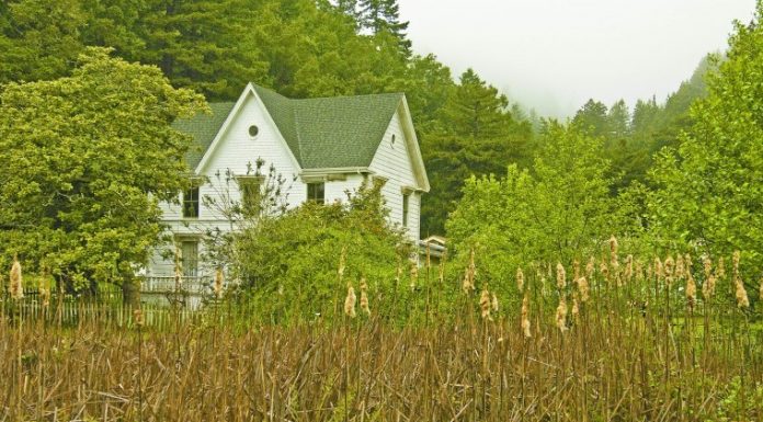 Bird watching in Martin Griffin Preserve