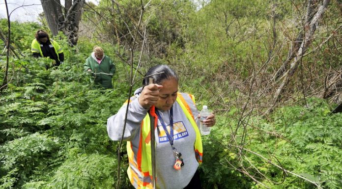 Volunteers search south of Gilroy for Sierra LaMar