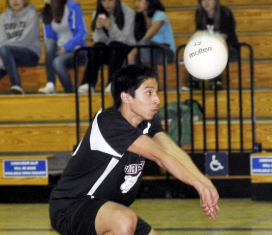 Mercado, Vigano highlight Sobrato’s league honorees in volleyball