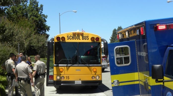 Kids complain of pain after sudden bus stop, change stories when police arrive