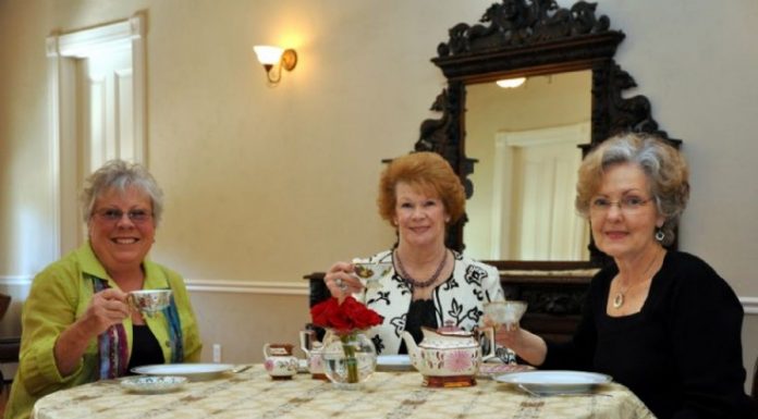 Council approves plan to expand Villa Mira Monte