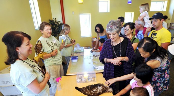 Morgan Hill Library celebrates fifth birthday