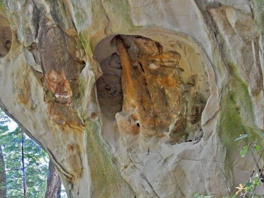 GETTING OUT: El Corte de Madera is full of ‘treats’