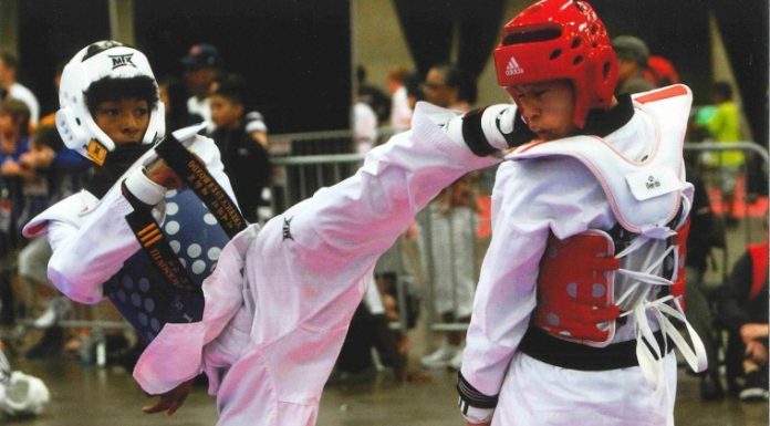 Taekwondo Center takes home 7 gold medals at nationals