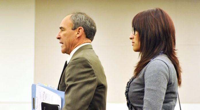 Suspect in Joshie’s hit and run in court today