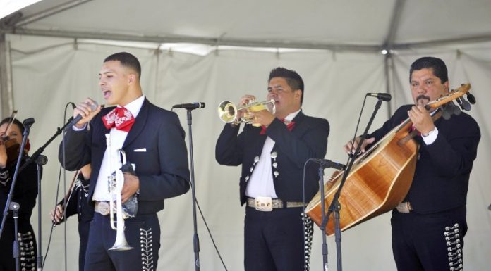 Music Festival at Jackson Academy for Math and Music