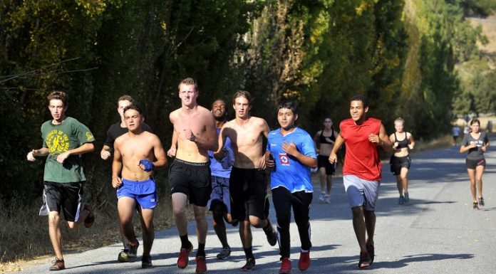 CROSS COUNTRY: Teamwork carrying Live Oak