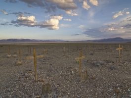 GETTING OUT: Venture off beaten path to find charm