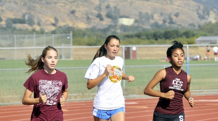 CROSS-COUNTRY: Bulldogs aim high in 2012 season