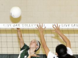 Live Oak vs Andrew Hill Girls Volleyball