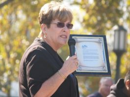 Central High honored for jump in API scores