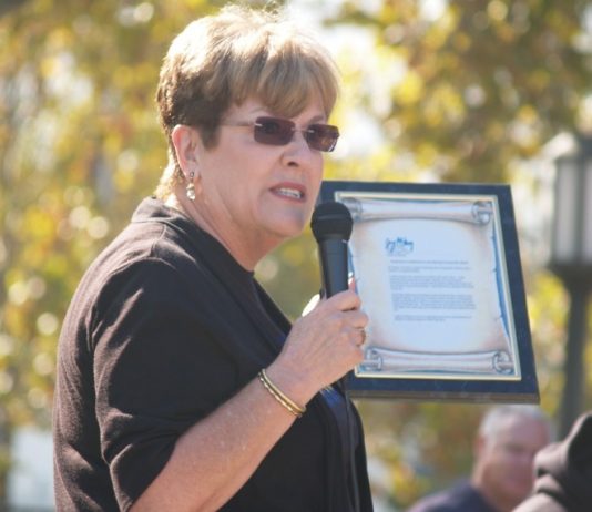 Central High honored for jump in API scores