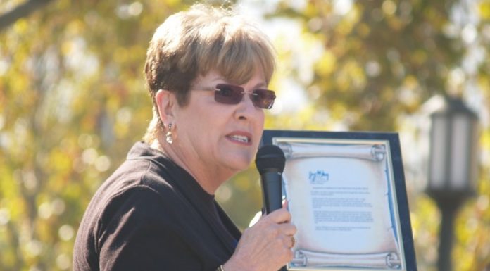 Central High honored for jump in API scores