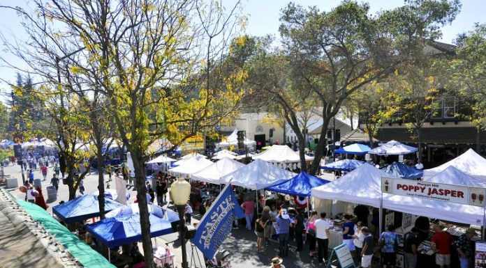 Sherman takes the helm as chamber CEO