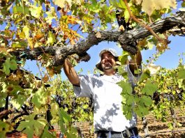 Wonderful wine, on time