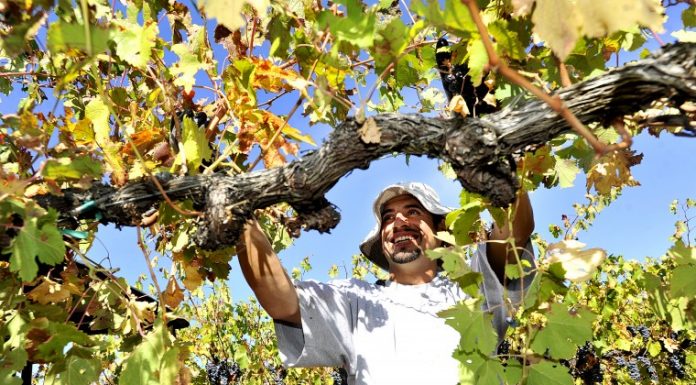 Wonderful wine, on time