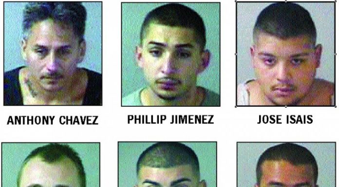 13 arrested in city gang sweep