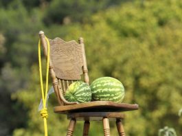 Anti-Obama display includes noose