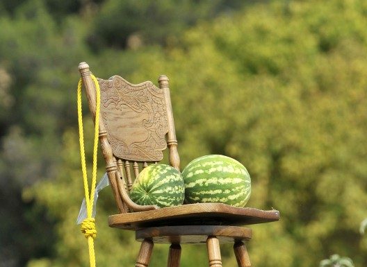 Anti-Obama display includes noose