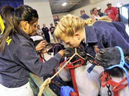 Local FFA chapter attends prestigious nat’l event