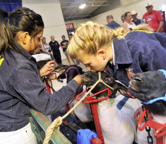 Local FFA chapter attends prestigious nat’l event