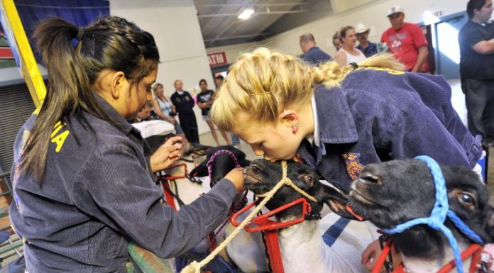 Local FFA chapter attends prestigious nat’l event