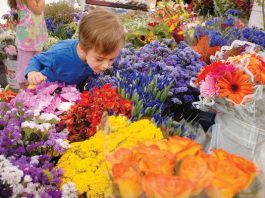 Morgan Hill Farmers’ Market will stay open year-round