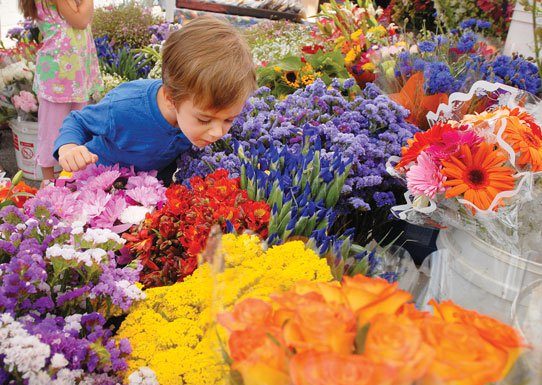Morgan Hill Farmers’ Market will stay open year-round